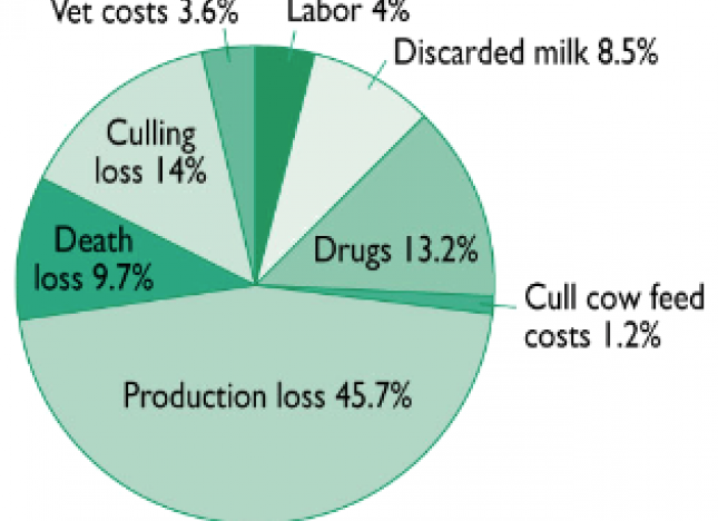 Economic losses