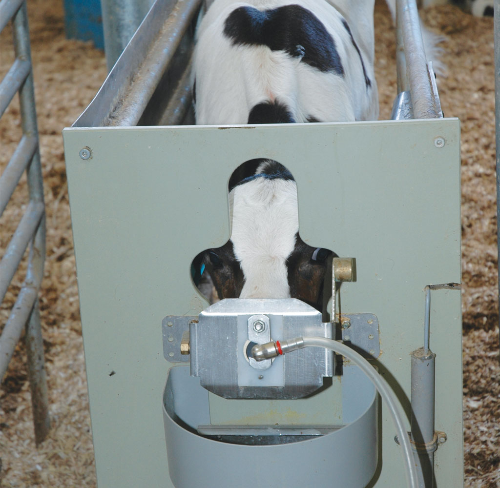 Automated Calf Feeders Work Well If Vaca Resources